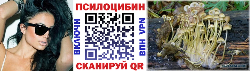 Галлюциногенные грибы Cubensis  Великий Новгород 